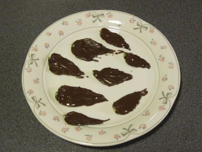 Chocolate Accents
