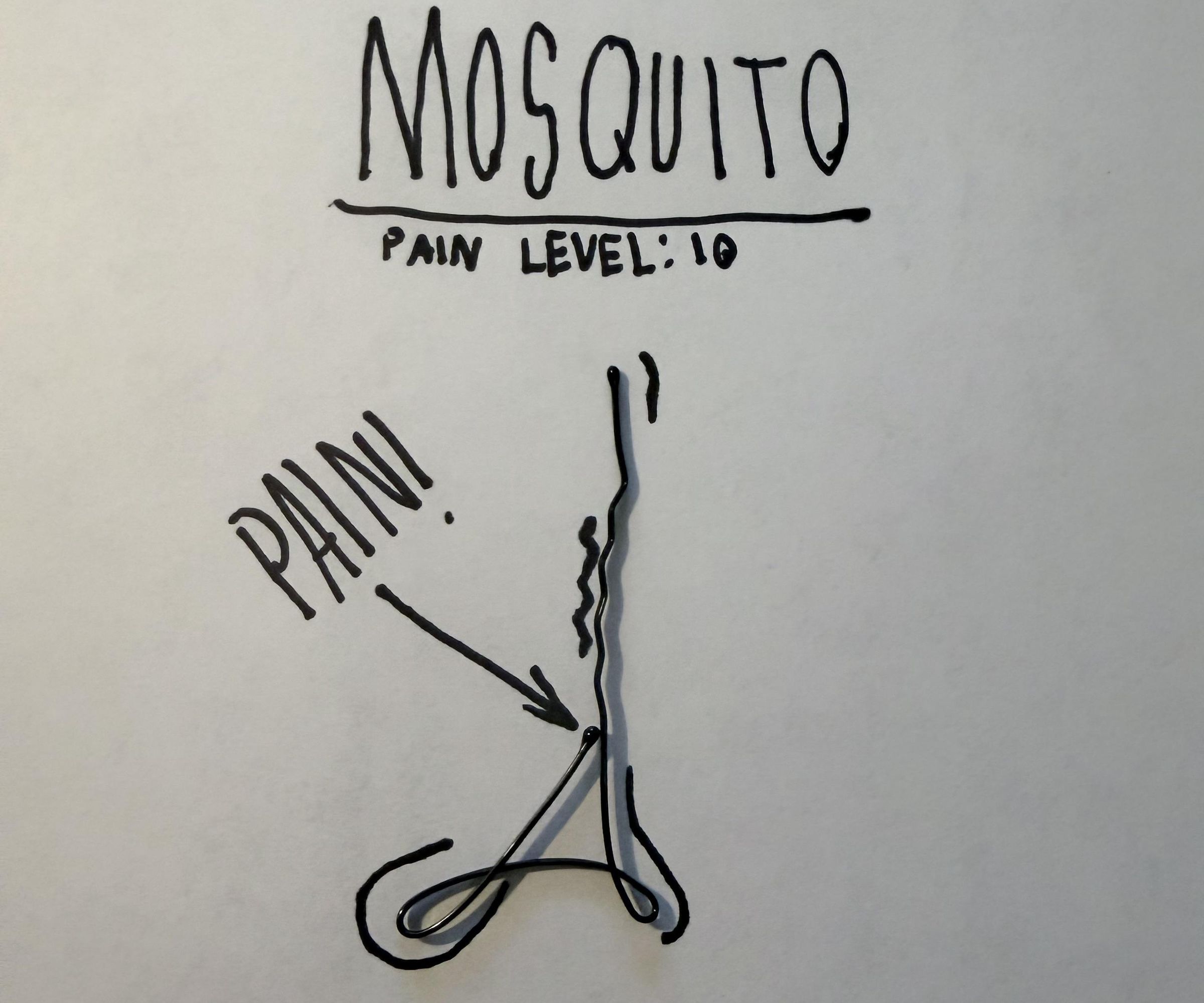 How to Make a Mosquito Snapper