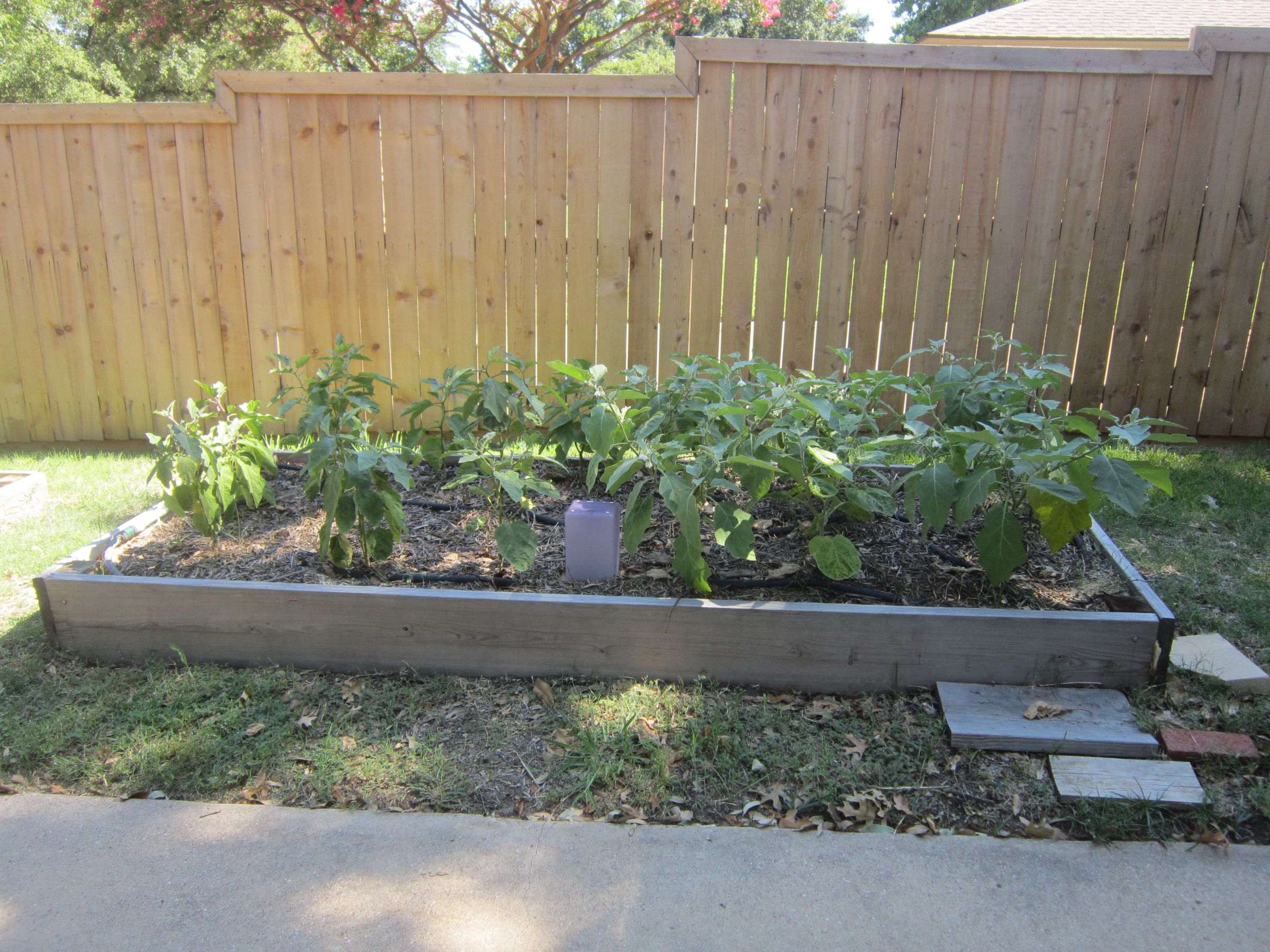 Inverted Sprinkler Experiment