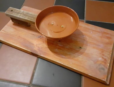 Cat Feeder for Cat With Funnel Collar