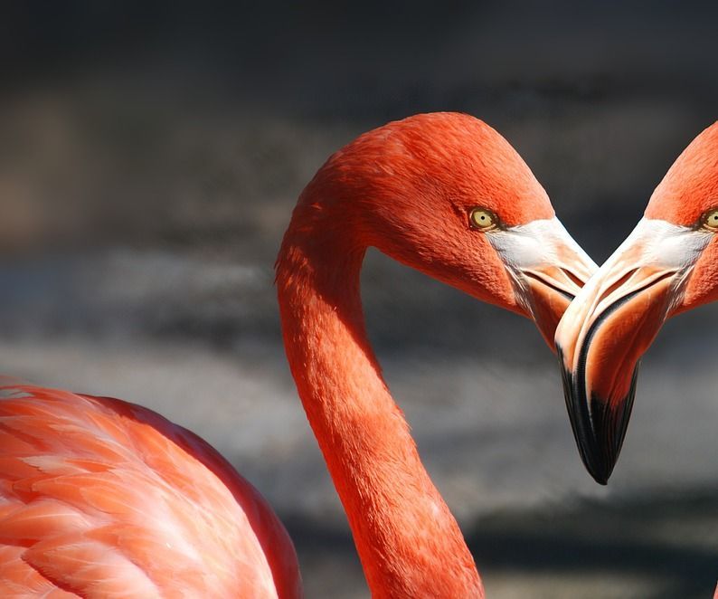 Five Key Ways to Ensure You Do Valentine's Day Right