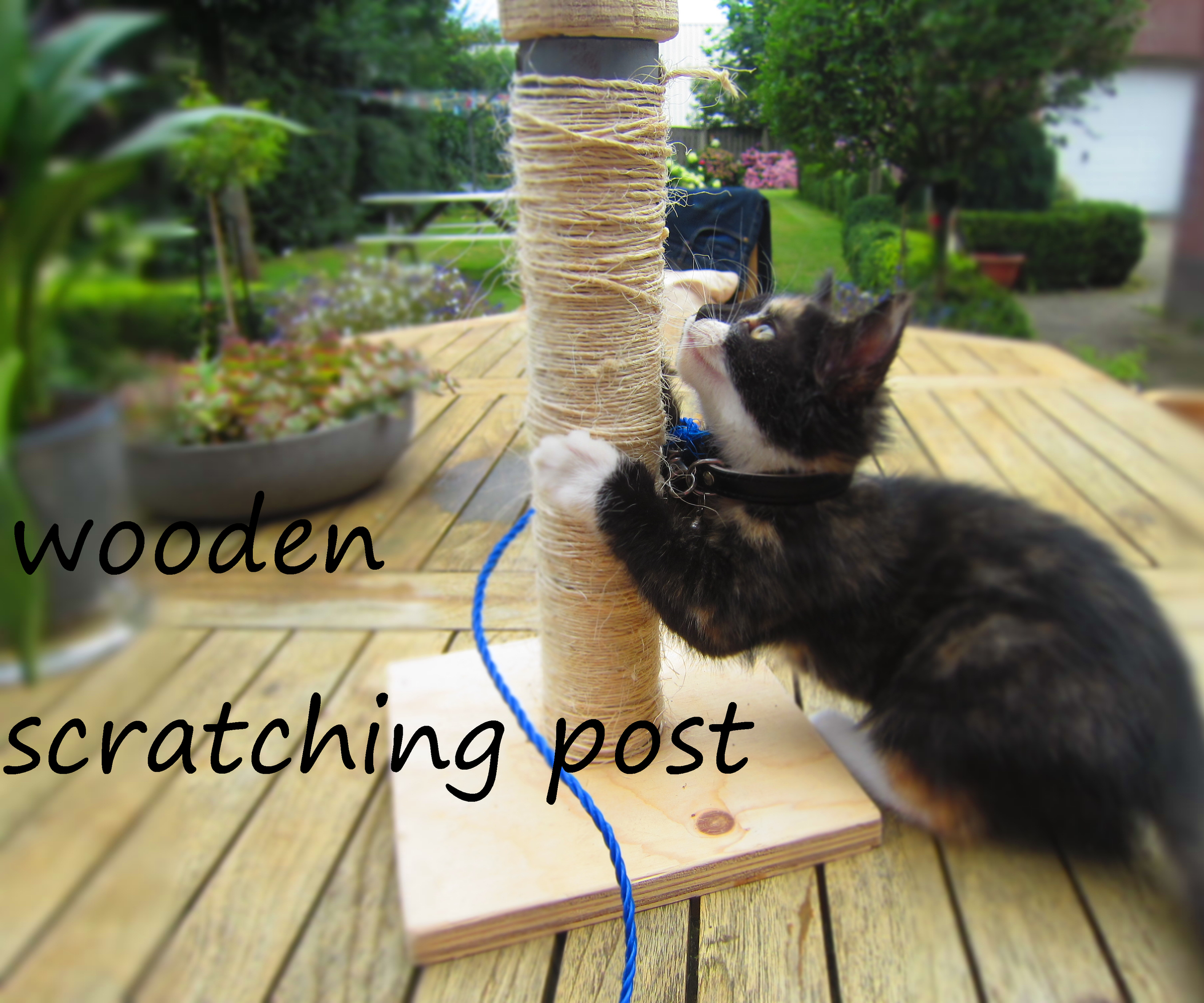 Wooden Scratching Post
