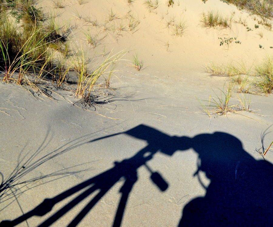 Digiscope Cell Phone