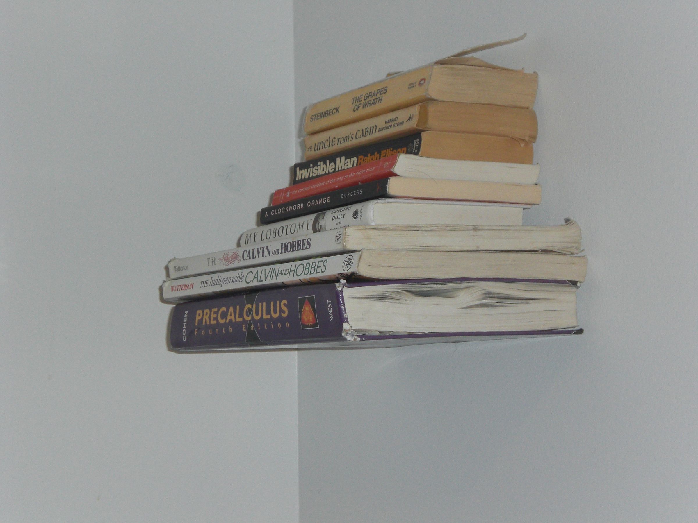 My "Invisible" Book Shelf