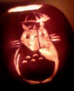 Pumpkins From Last Halloween