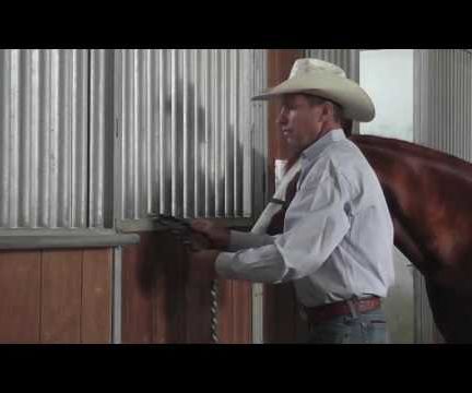 Properly Tying a Horse 