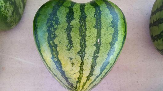 Grow a Heart Shape Watermelon