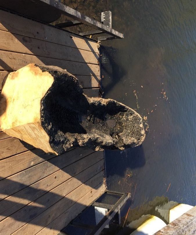 FAIL Making a Canoe With Fire
