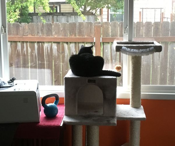Bird Feeder Shelter
