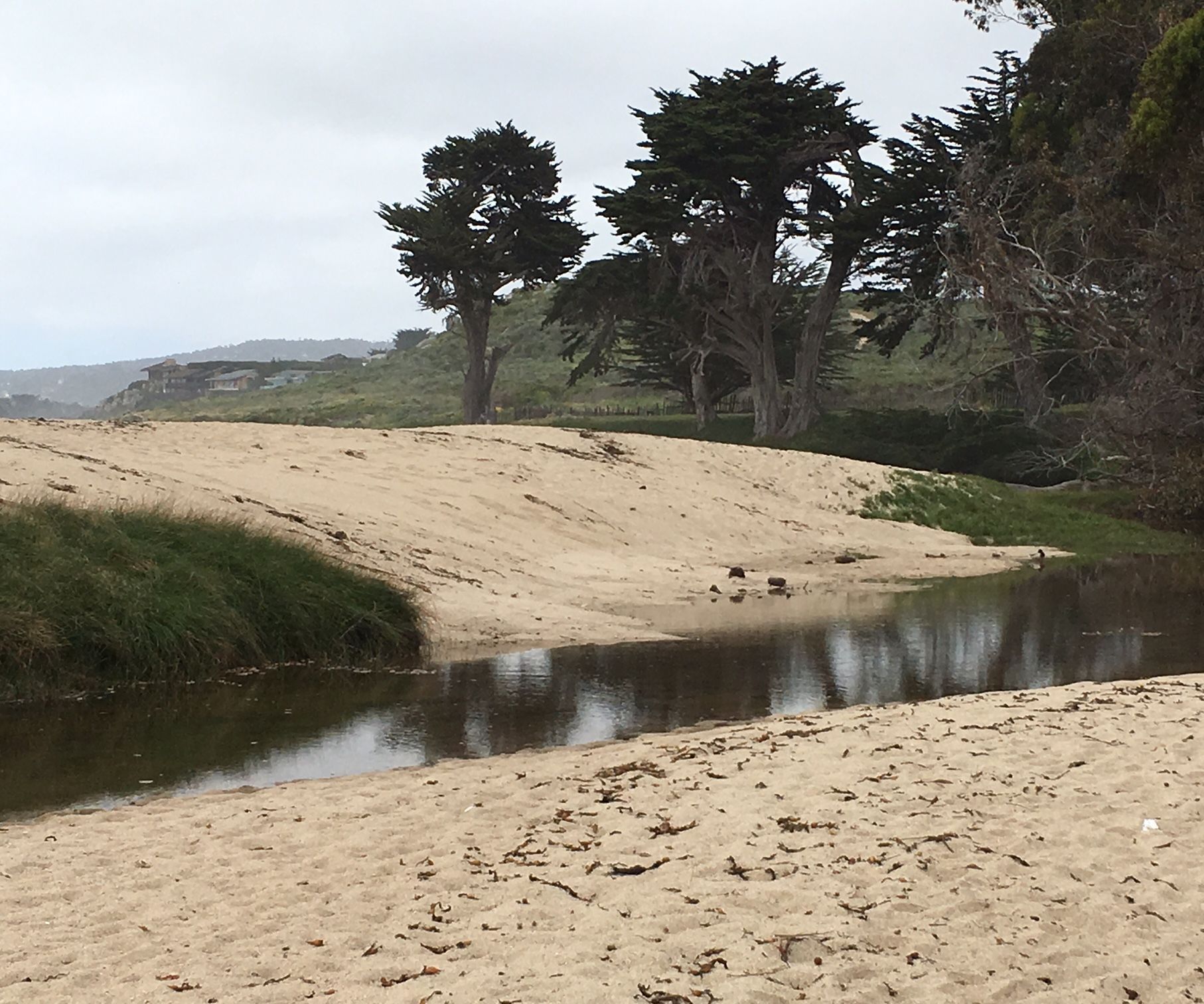 Storm Chaser Beach Activity (treasure Hunt)