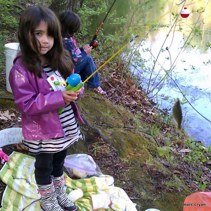 Convert Rain Barrels to Fish Tanks for Aquaponics