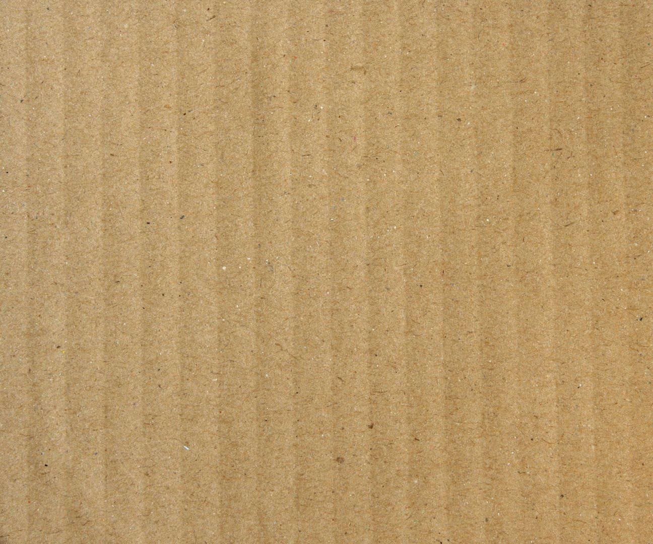 Cardboard Car