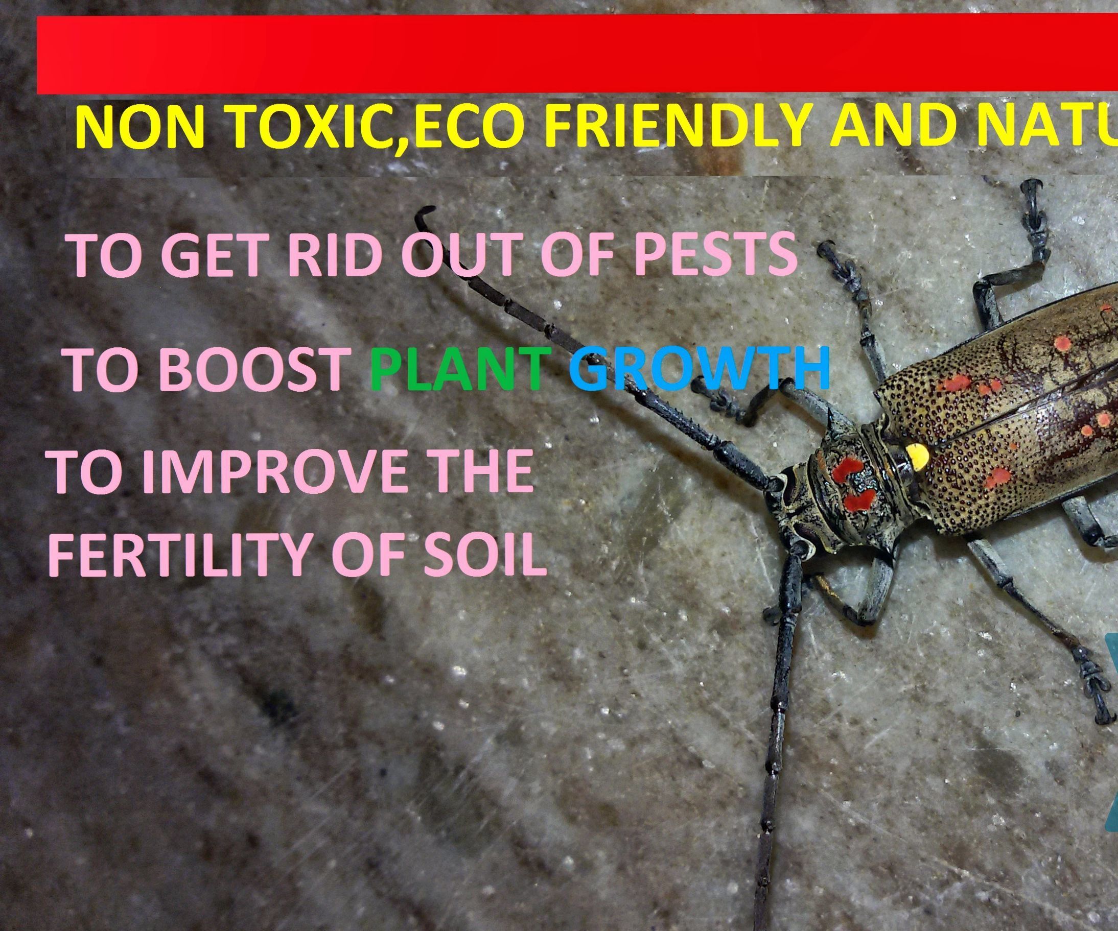 TOXIC FREE,ECO-FRIENDLY FERTILIZERS & PESTICIDES
