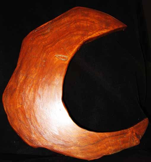 What to Do With a Felled Tree