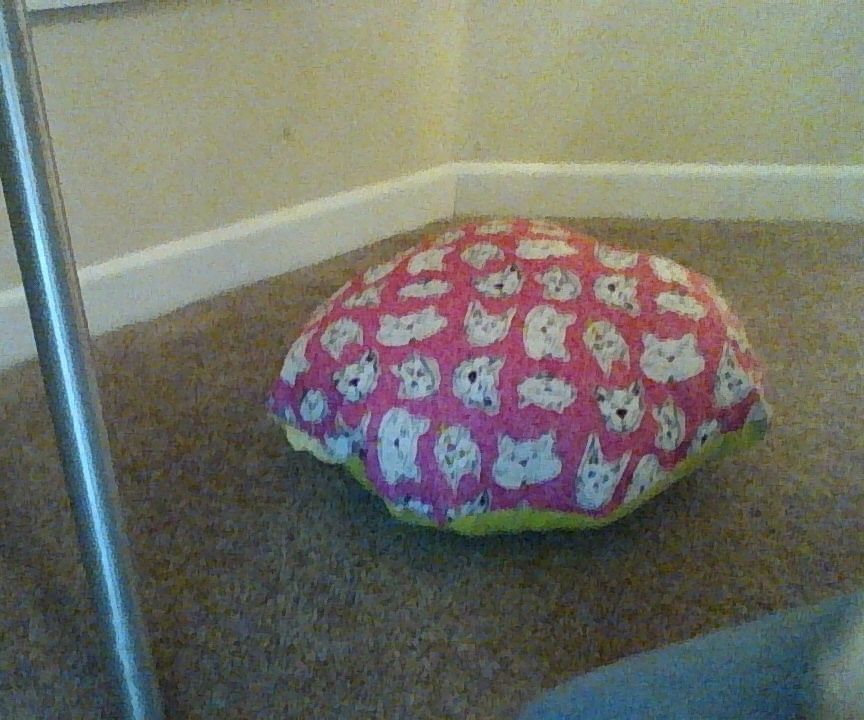 Cat Beanbag!