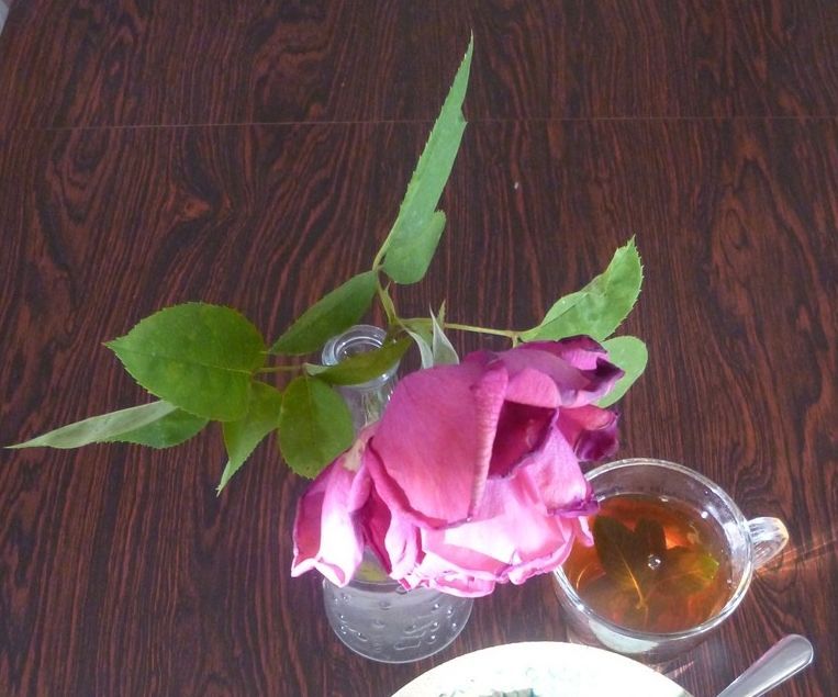 Our Garden Green Salad