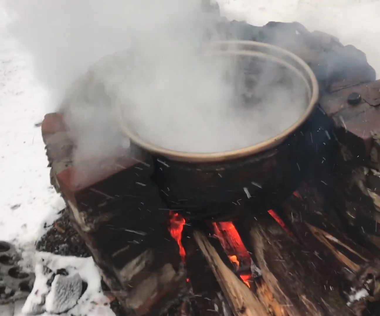 Tapping Maple Trees for Making Maple Syrup