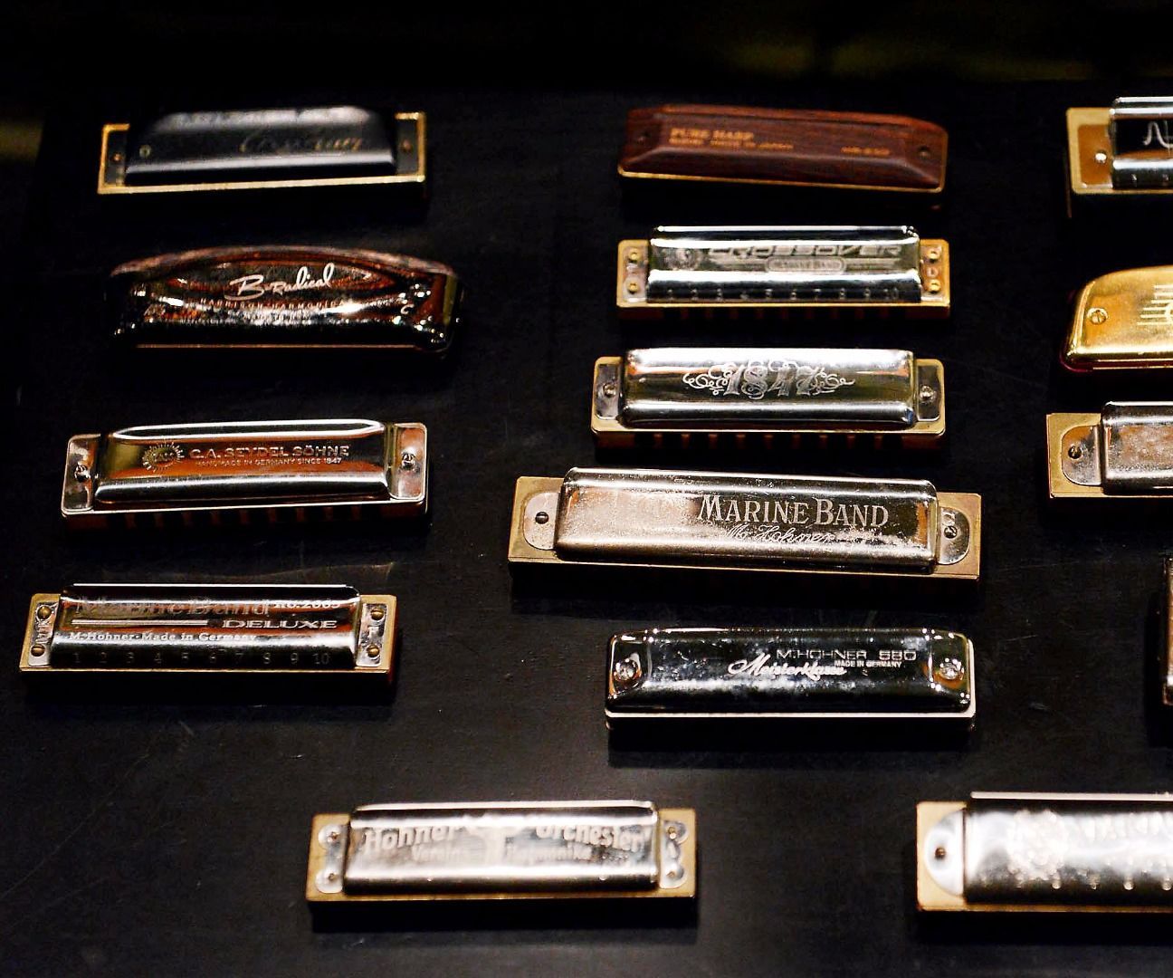 7 Types of Harmonica Every Learner Should Know