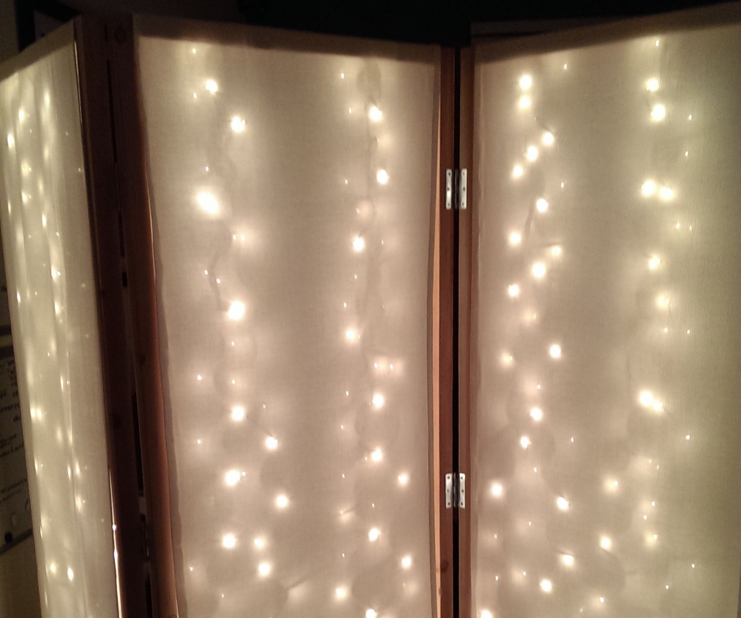 Lighted Room Divider/Privacy Screen