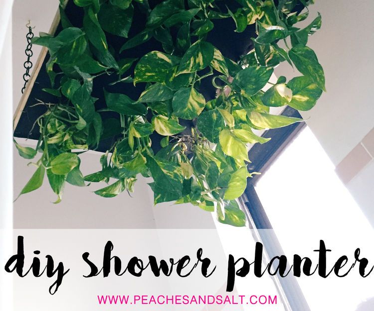 Shower in the Jungle