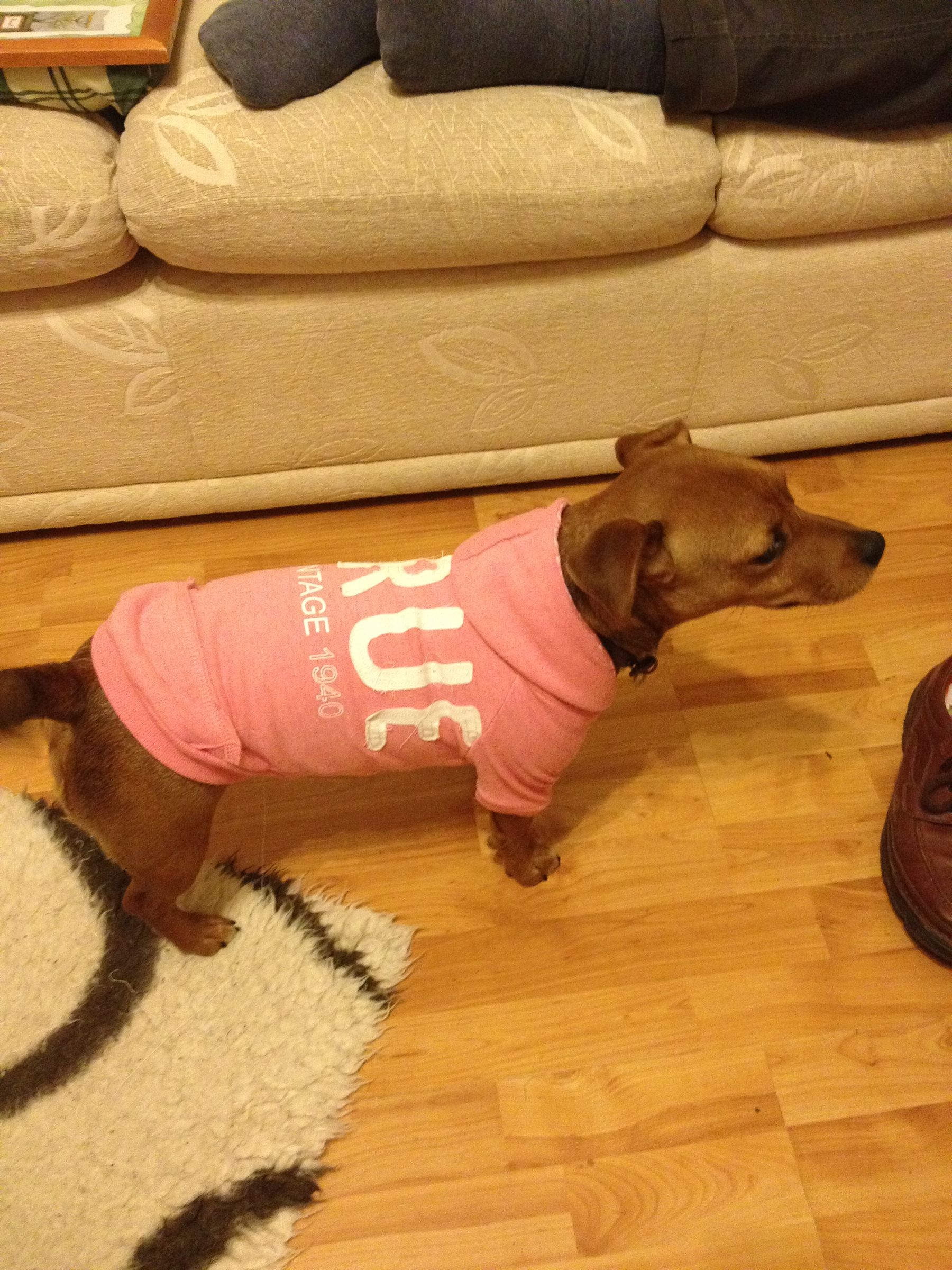 Lily in Her New Hoodie (previously a Ladies Hoodie)