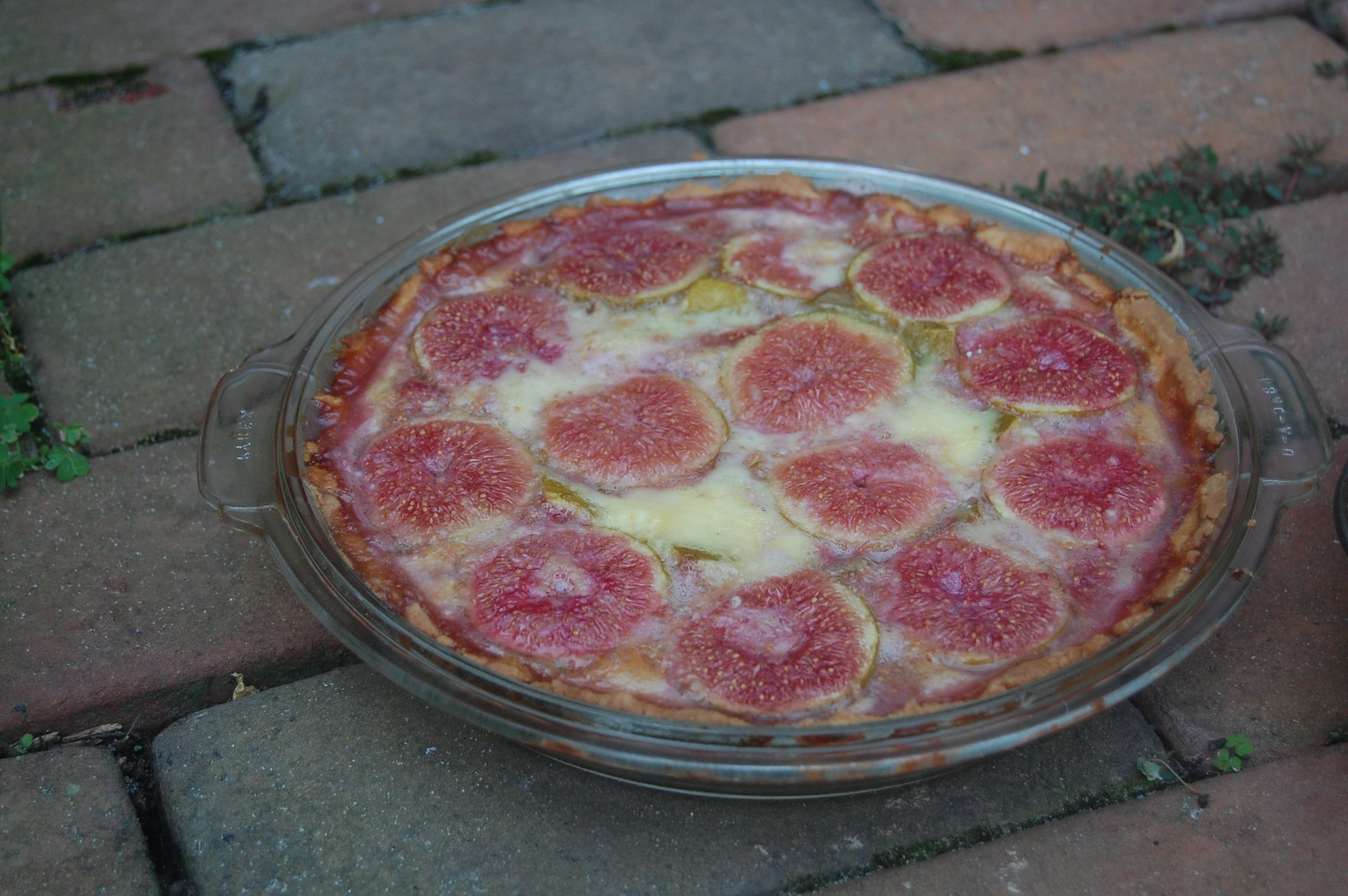 Fig Tart