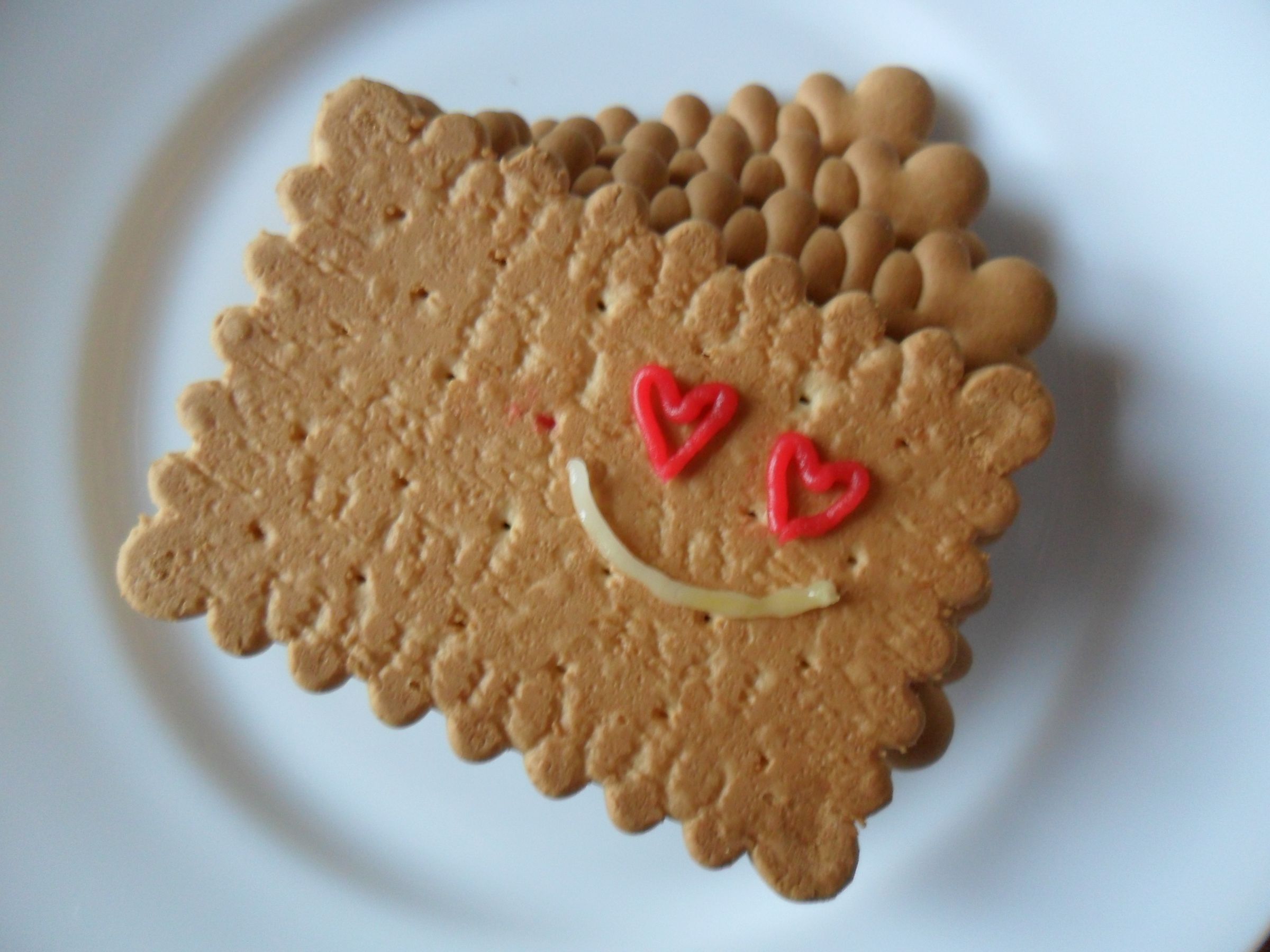 Drawing on Biscuits