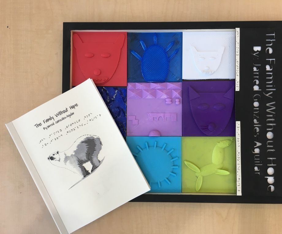 The Family Without Hope Tactile Book