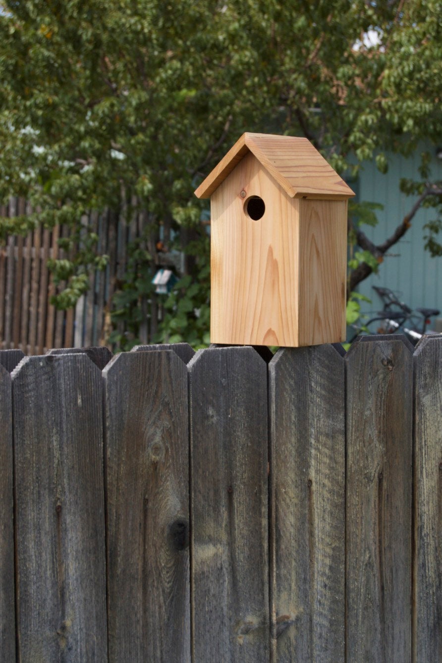 Cedar Blue-Bird Birdhouse