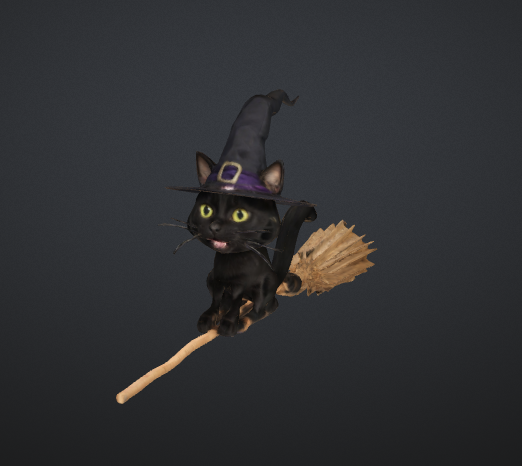 Black Cat on a Broomstick