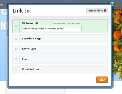 Step 3: Name Your Domain