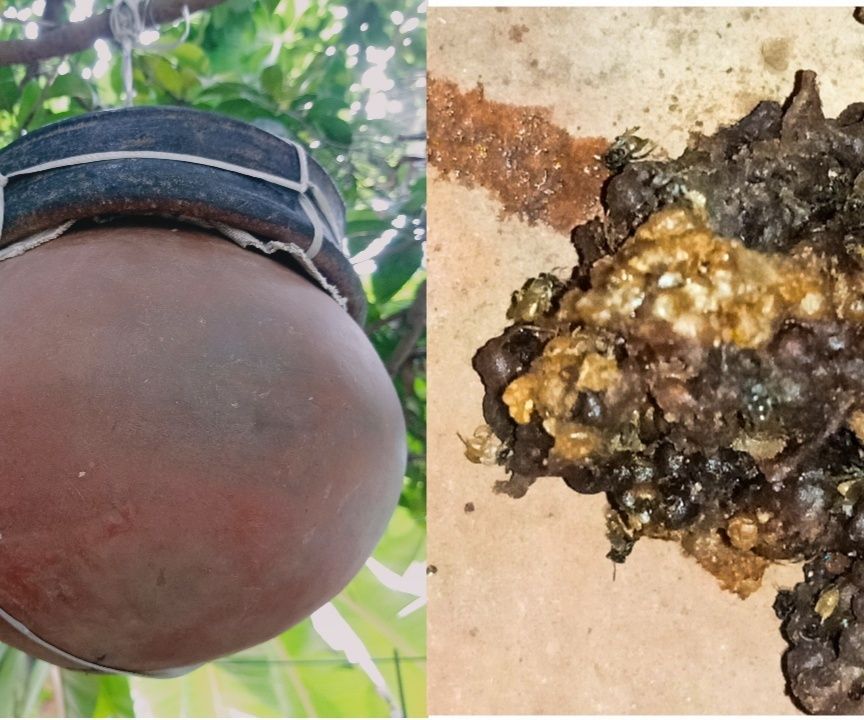 Keep the Tiny Bees in Your Home