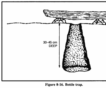 Bottle Trap