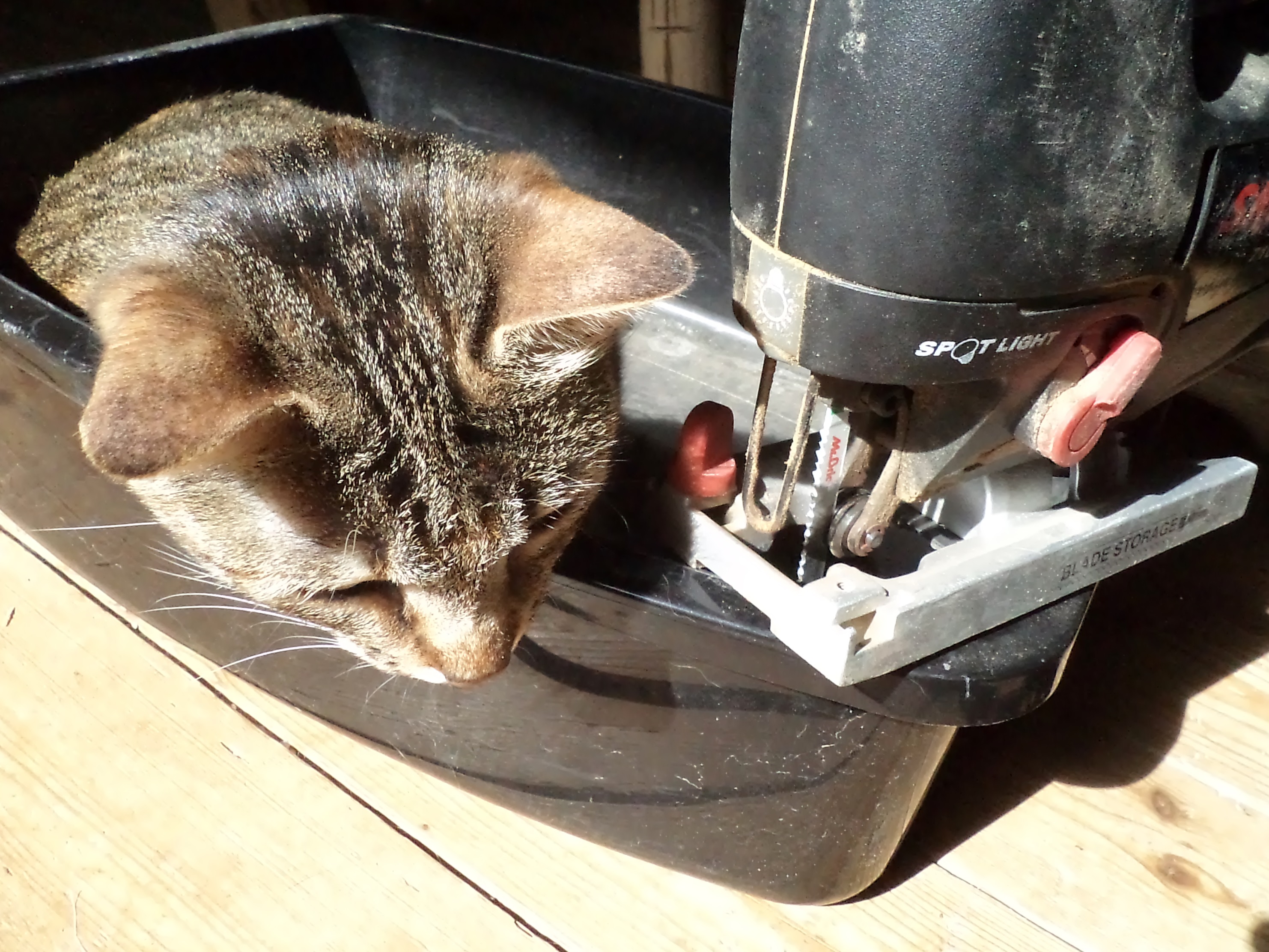 Elegant Ikea Hack Litterbox : 3 Steps (with Pictures) - Instructables