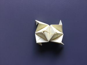 Origami Icosahedron : 16 Steps - Instructables