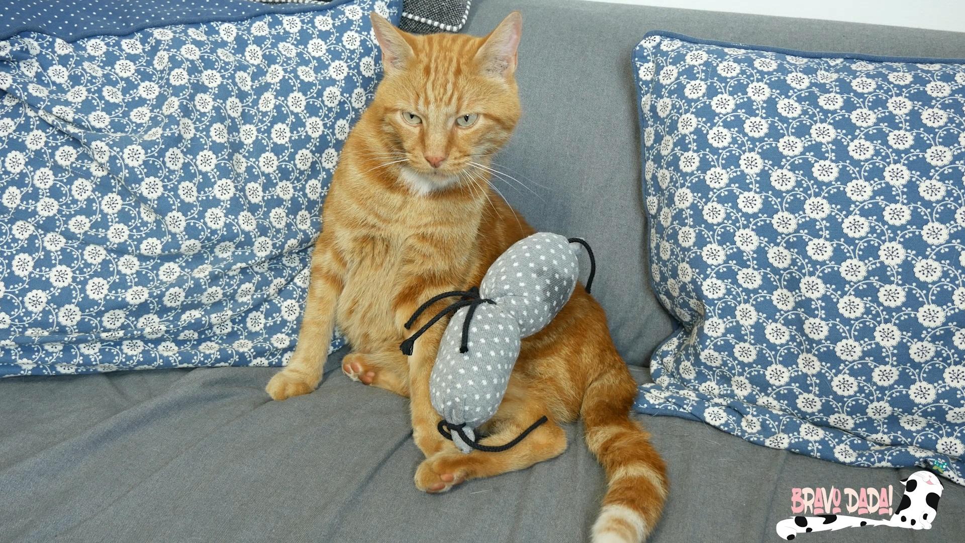 DIY How to Make a Cat Toy Out of Old Socks Old Clothes Reuse Ideas