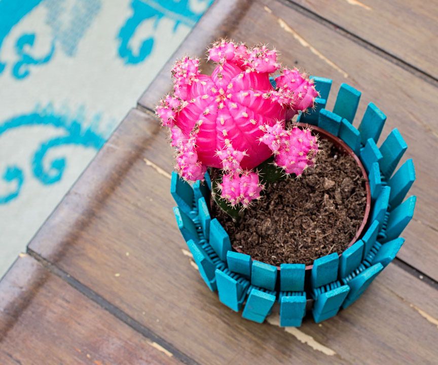 Clothespin Planter
