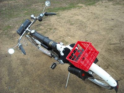 Motorized Bicycle 2
