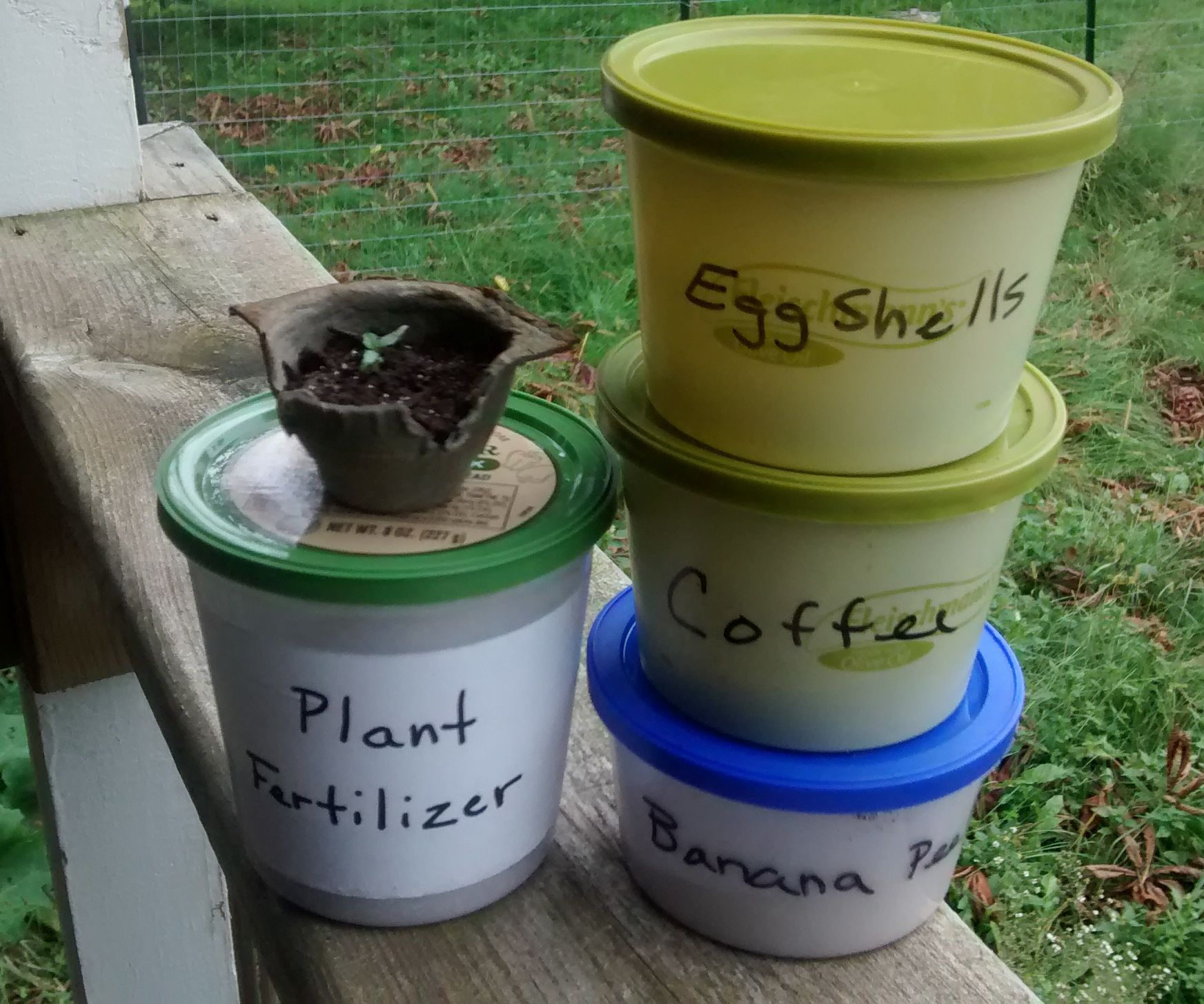 Make Your Own Organic Plant Fertilizer for FREE