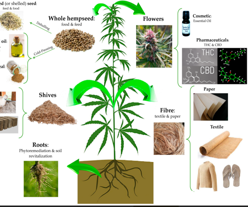 Industrial Hemp Slide Show