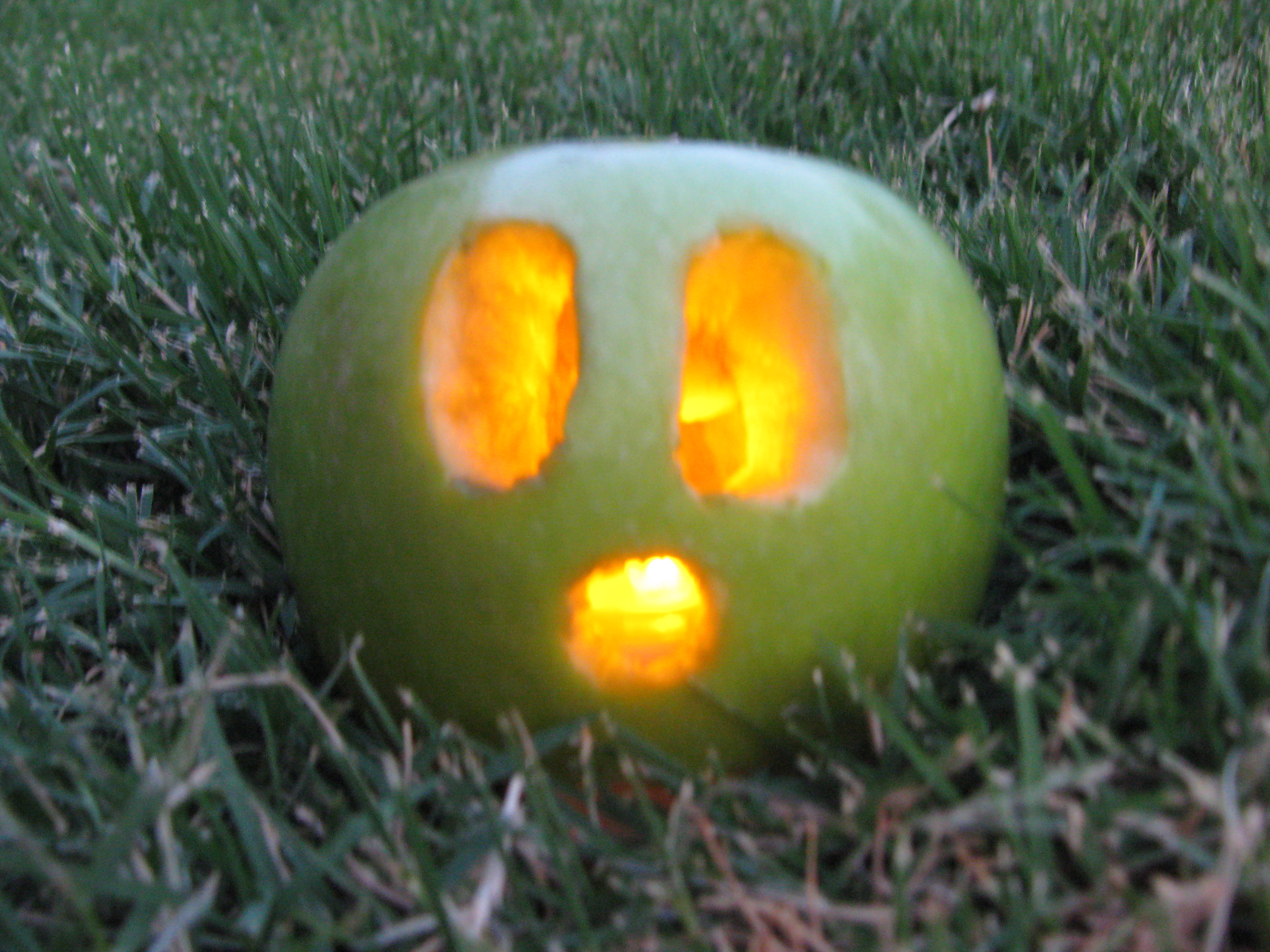 Appl-O-Lantern - Try It!