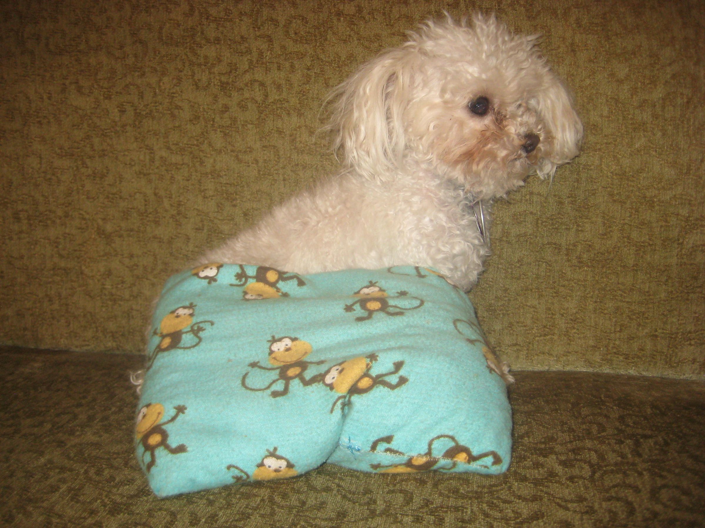 Bed Warmer Corn Bag