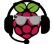 Raspberry Pi Visual Queries