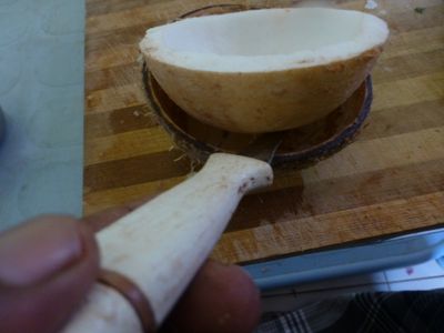 How to Perfectly Cut Open a Coconut Shell to Be Used in Other Craft ...