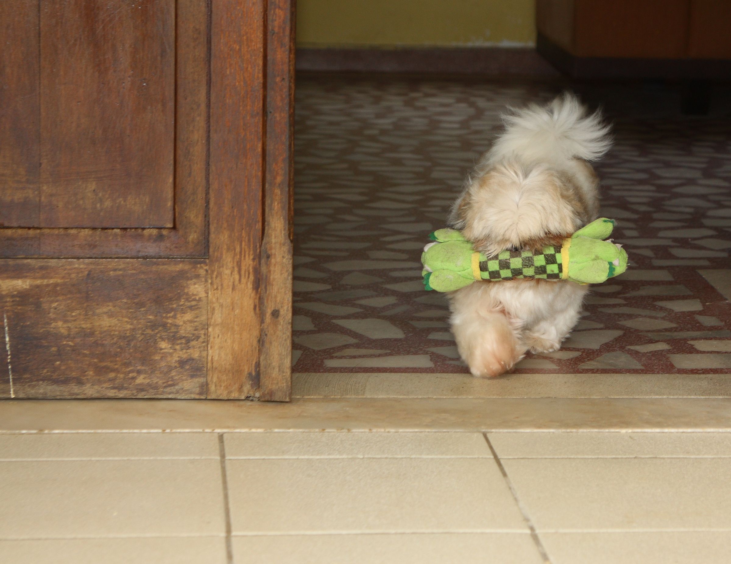 My Best Friend!!