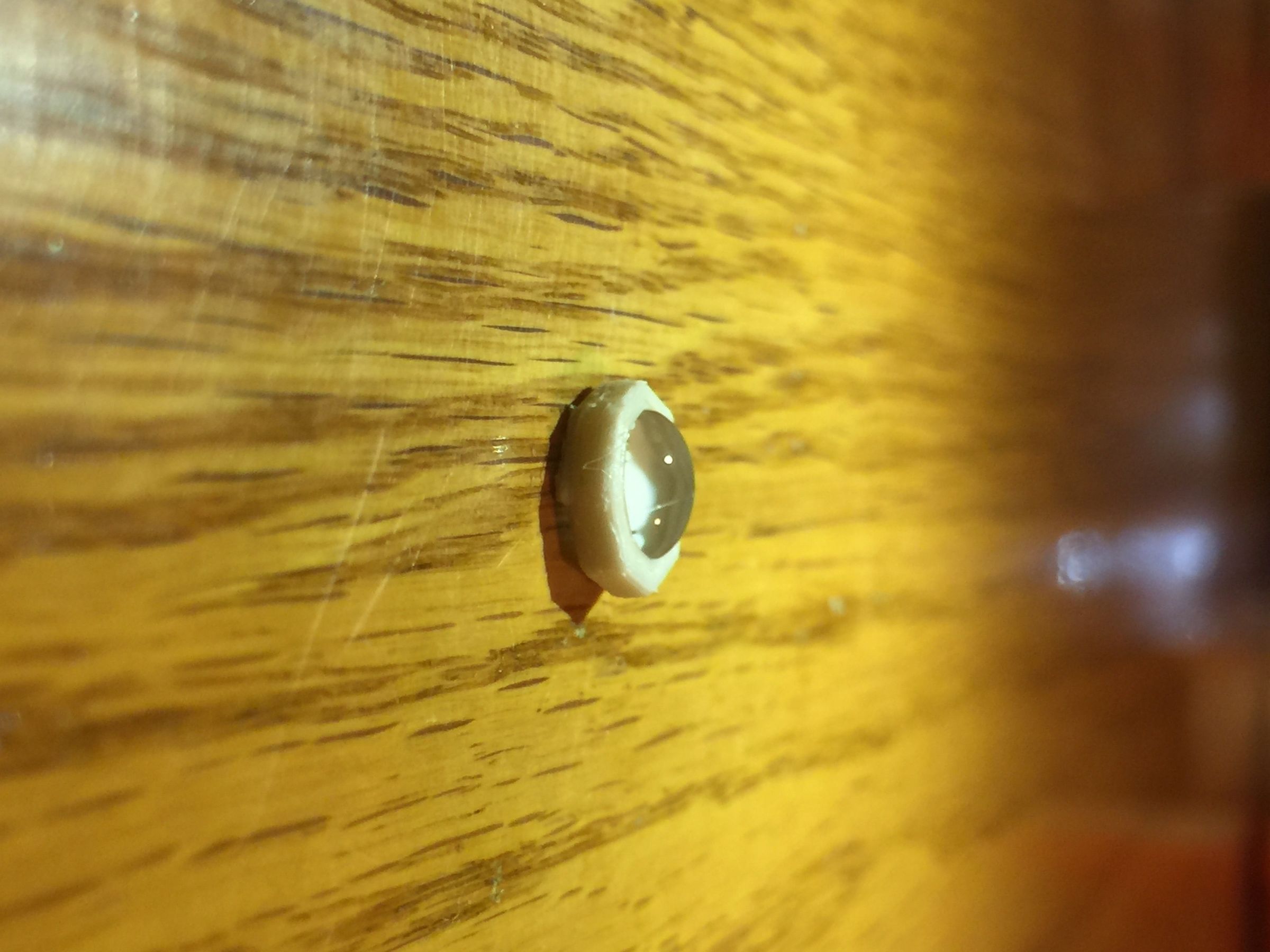 A Better Way to Test Surface Tension 3 Steps Instructables