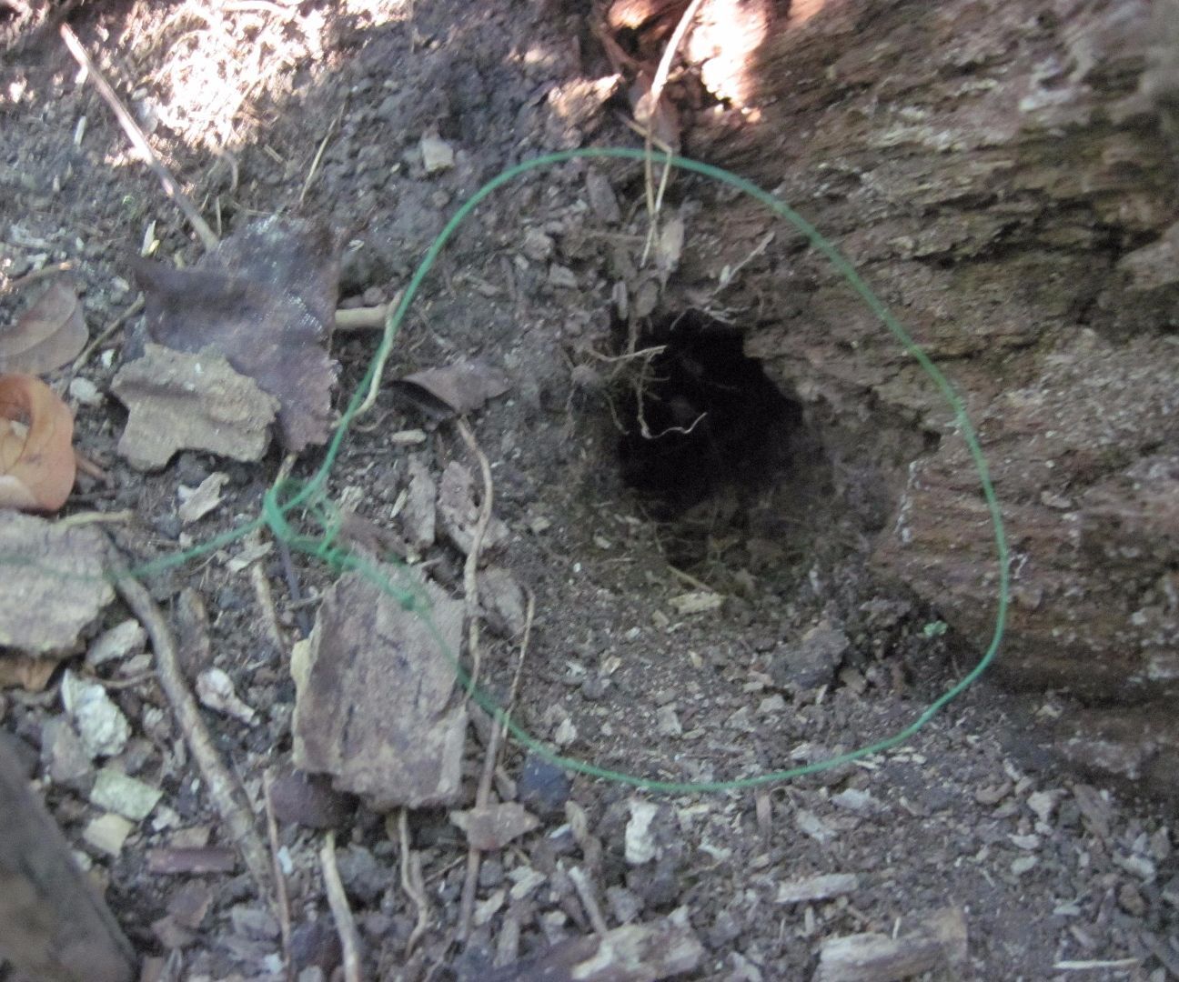 Where to Put a Snare?