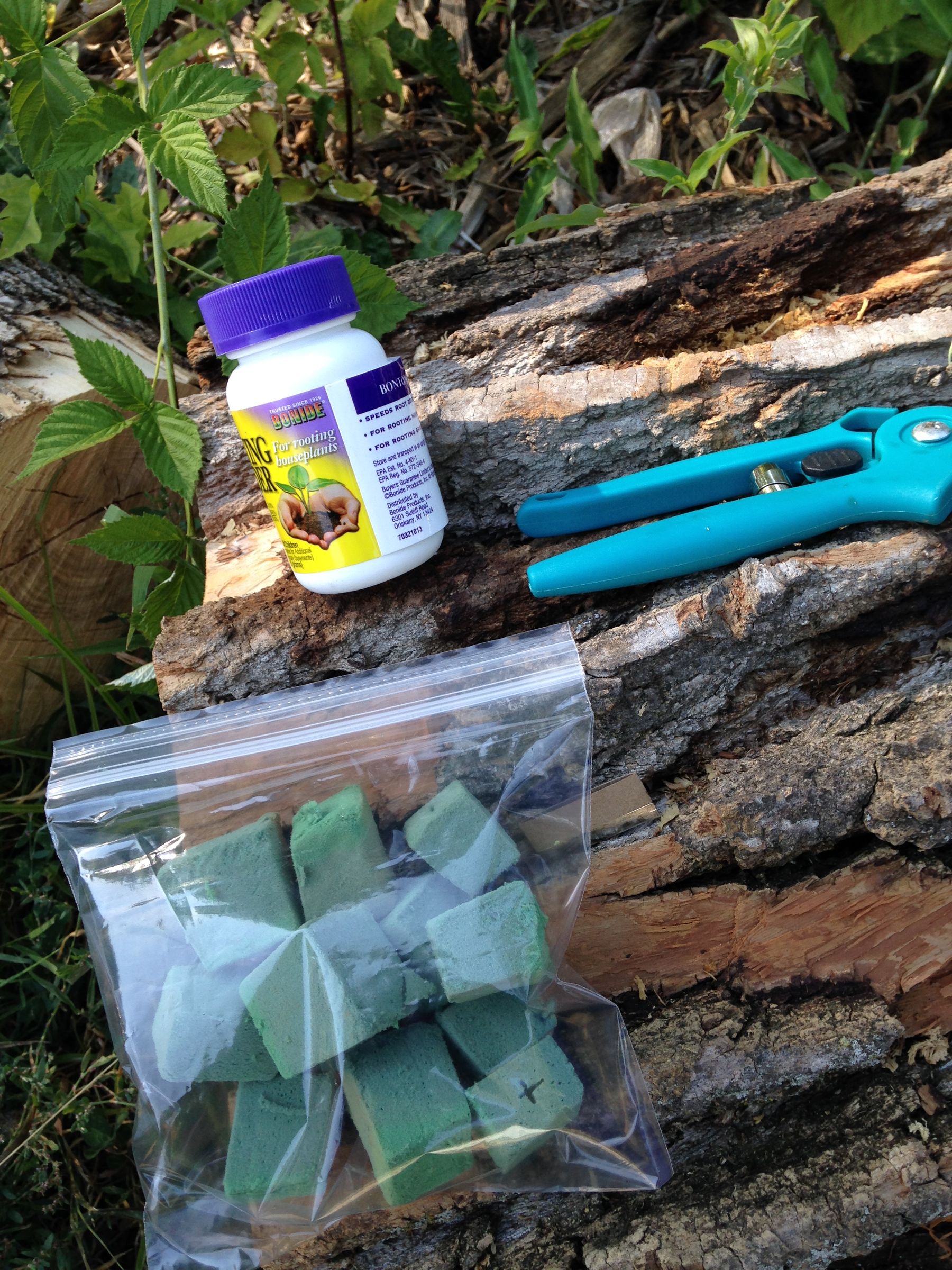 Rooting Cuttings in Florist Wet Foam 4 Steps (with Pictures