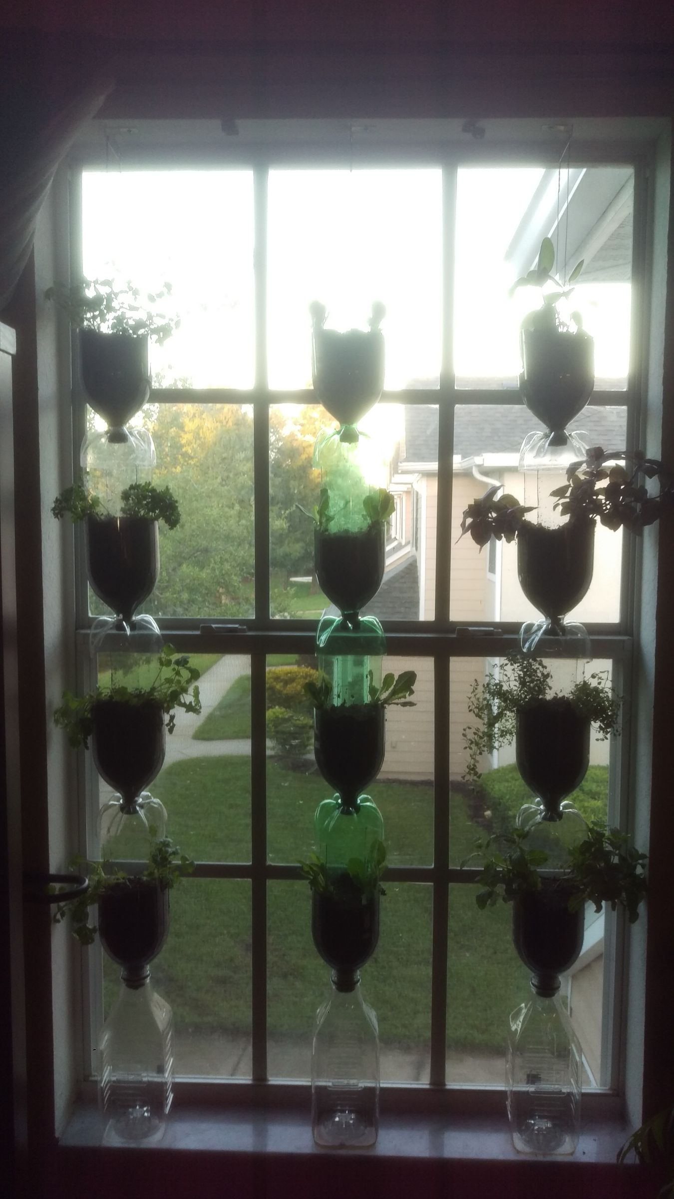 DIY Vertical Window Garden 