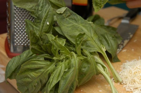 Basil Prep